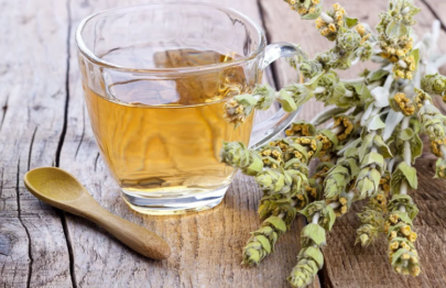 Mountain Tea Sideritis - Sideritis Syriaca