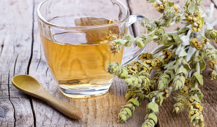 Mountain Tea – Sideritis Syriaca