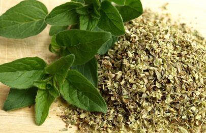 Oregano - Origanum Vulgare