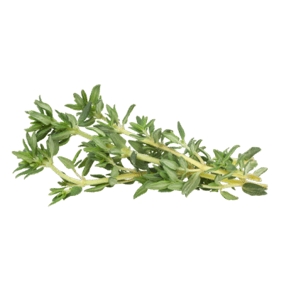 THYME